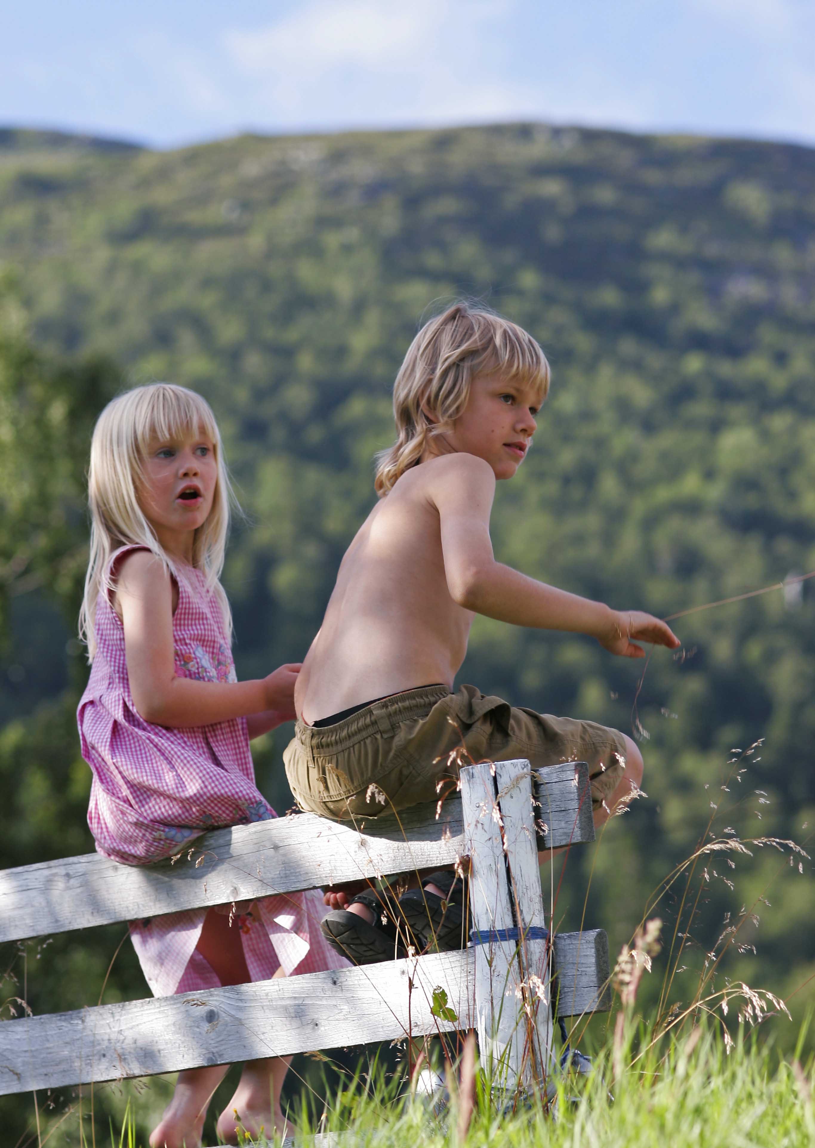 photo Steinar La Engeland